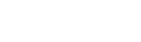 Revenue Loop Labs